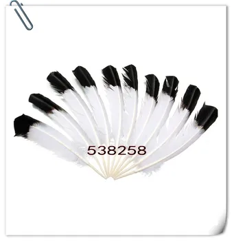

free shipping Wholesale 50pcs beautiful double dyed black and white Turkey feathers 25-30 cm feather clothing decoration