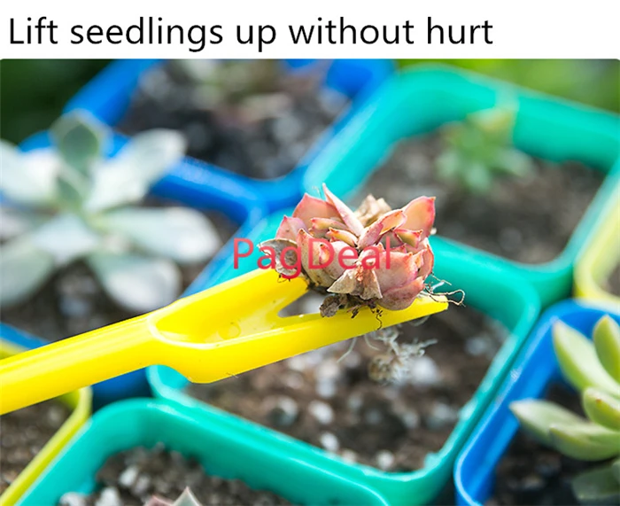Transplant seedlings Tools01