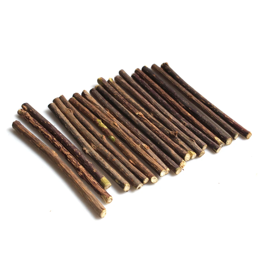 15&20pcs Natural Catnip Pet Cat Molar Toothpaste Stick Matatabi Actinidia Fruit Silvervine Cat Snacks Sticks Pet Cleaning Teeth