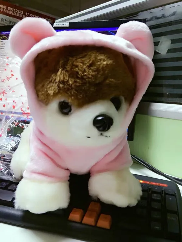 Cute Pomeranian Dog Plush Toys 4 sizes - Buyers Show 1