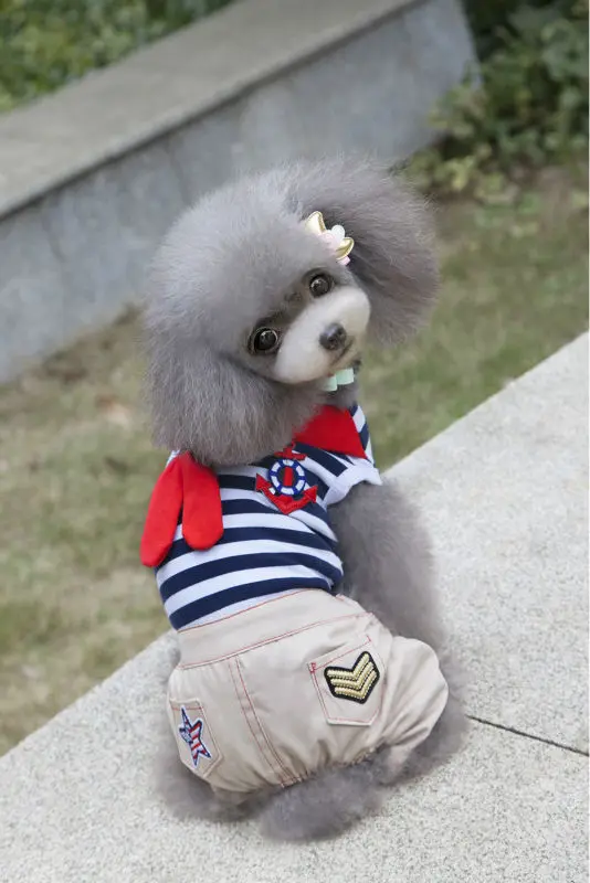 2016_Newest_Spring_Pet_four_legs_clothes_hot_sale_Pet_Sailor_Jumpsuit_Pants_Puppy_dog_Bib_Seaman_clothes_Lovely_ (2)