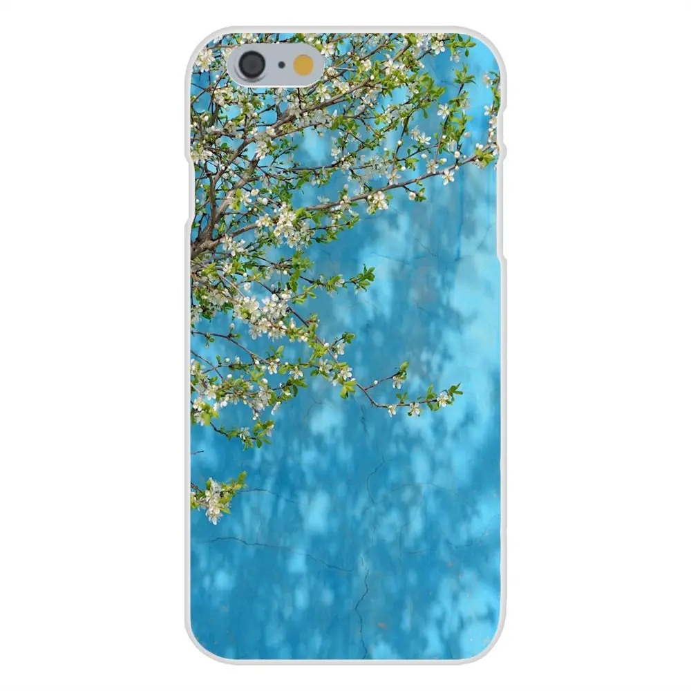 20170316082933_t2myM.thumb.700_0