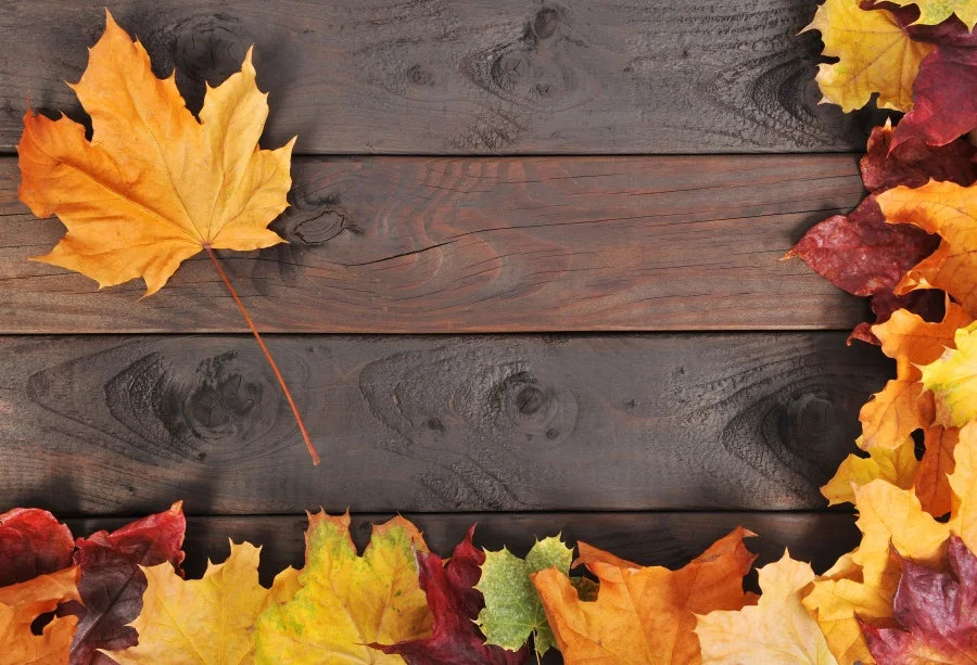 

Laeacco Autumn Old Wooden Board Texture Yellow Leaves Photography Background Customized Photographic Backdrop For Photo Studio