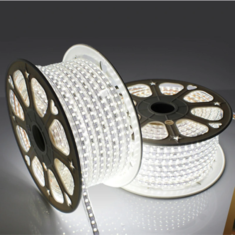 Tiras de Led v luz com o poder Voltage : Ac220v
