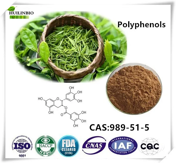Green tea extract Polyphenols powder 98 1kg/bagin Braces & Supports