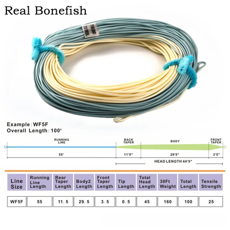 

Maximumcatch Bonefish Fly Line 100 FT Sand/Blue Color Fly Fishing Line With 2 Welded Loops Fly Line for Slatwater/Freshwater