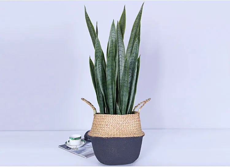 70 см цветок+ ваза Sansevieria trifasciata бонсай Тропическое растение высокое качество чувство руки зеленый суккуленты подарок украшение дома