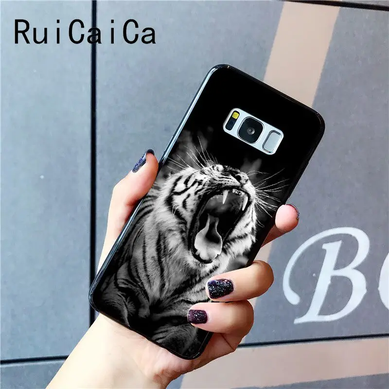 tiger fashion