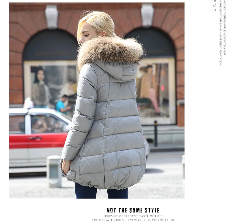2018 Women Winter Loose Down Jackets Hooded Big Fur Collar Parkas Plus Size Coat Women Korean A Style Padded Down Jacket AS039 (5)