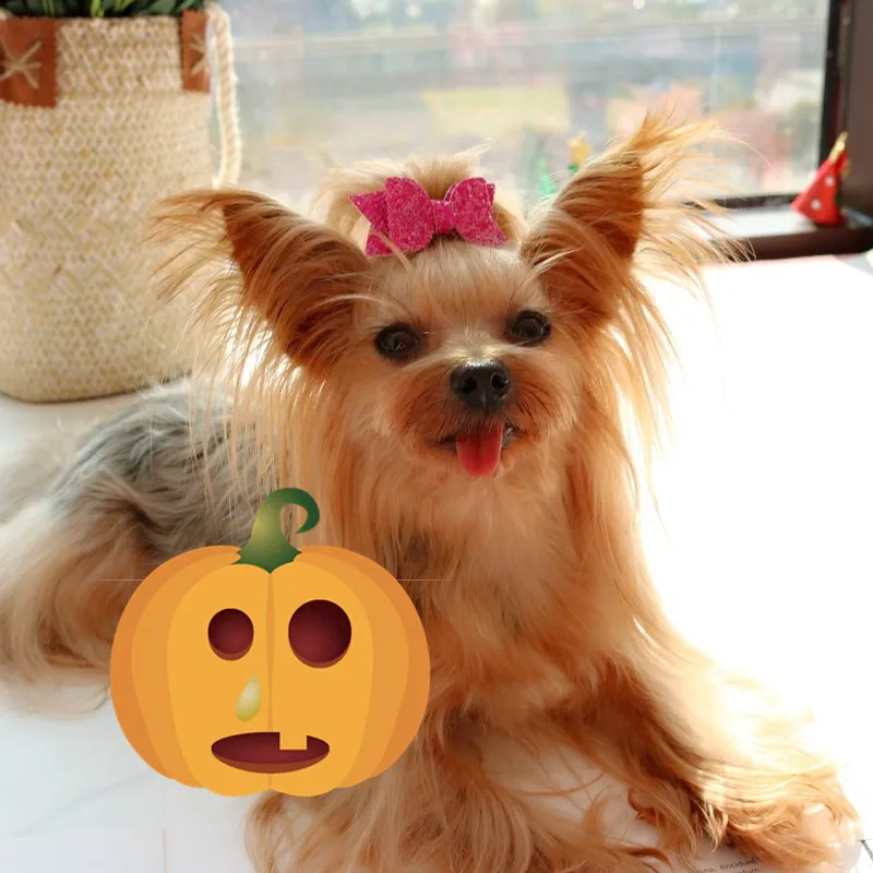 O1CN01dHASK51wkyJG2HZWz_!!735876347