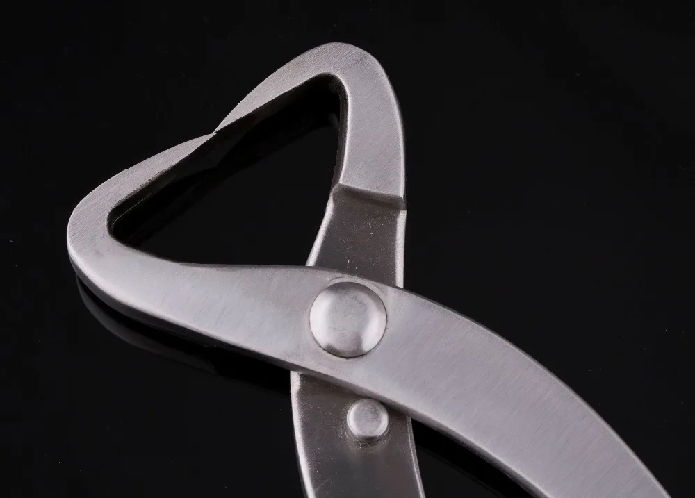 Skup Rozdzielacz rozgałęźnika 205 mm rozgałęźnik standardowa jakość poziom 3Cr13 narzędzia bonsai ze stali nierdzewnej wykonane przez TianBonsai