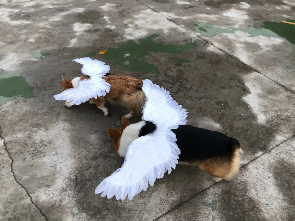 Милый костюм с крыльями ангела для домашних животных, аксессуары Keji Teddy, золотые волосы, снежные нари, забавные реквизиты для фотографий