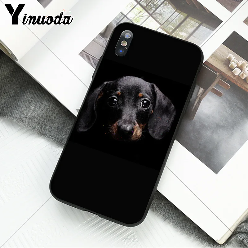 black Dachshund Doberman Dog face 
