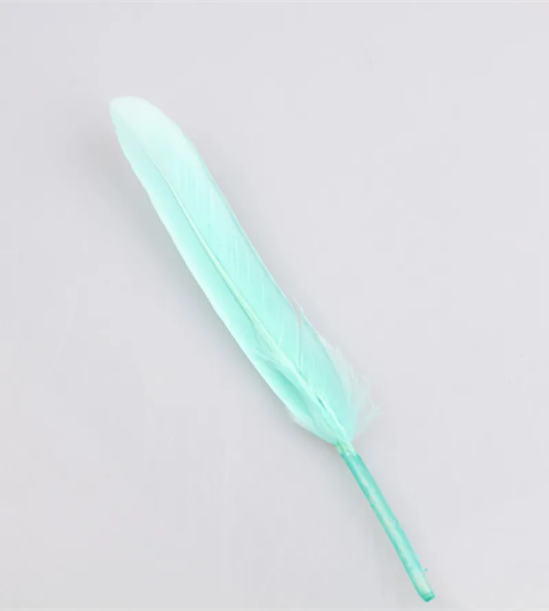 F007 (30)