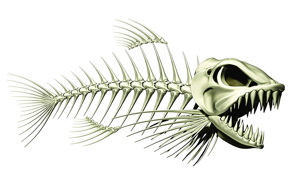 fish1