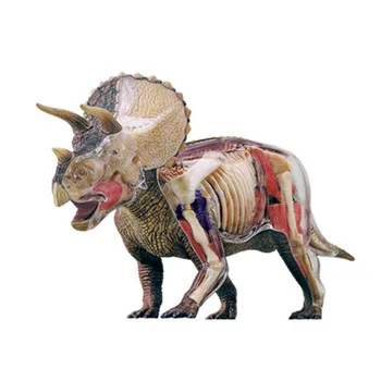 

4D MASTER Educational Assembled Toy Simulation Animal Triceratops Organ Anatomy Action Figure Model Toy X1544