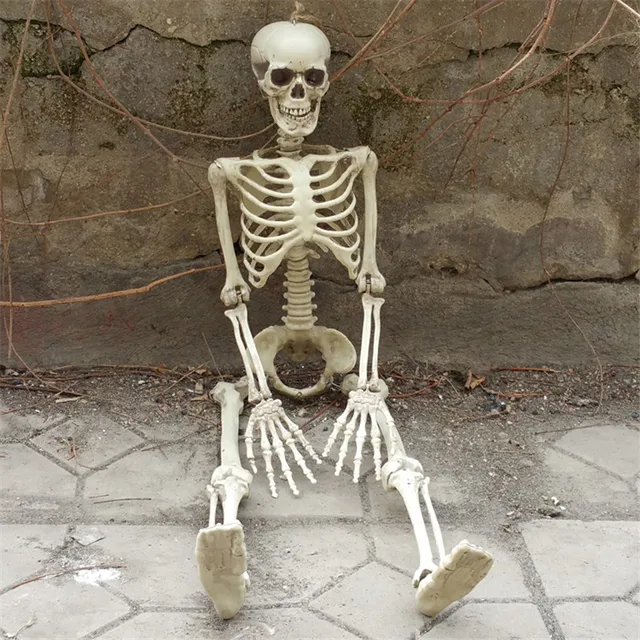 36inch 90cm Halloween Skeleton 100% Plastic Children Size Skeleton 36inch 90cm Halloween Skeleton 100 Plastic Children Size Skeleton For Halloween Decorations 32694042565html