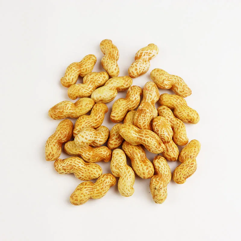 10PC Artificial Foods & Vegetables Peanuts Simulation Fake Dried Fruits