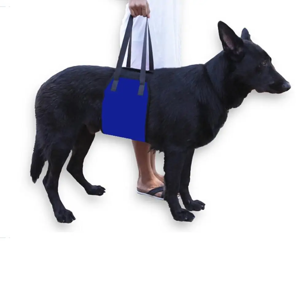 

Hyena With Pet Straps Pet Assist With Pet Protection Belts Dog Belts Outdoor Tote With Belts Dogs And Cats Carrying The Subway