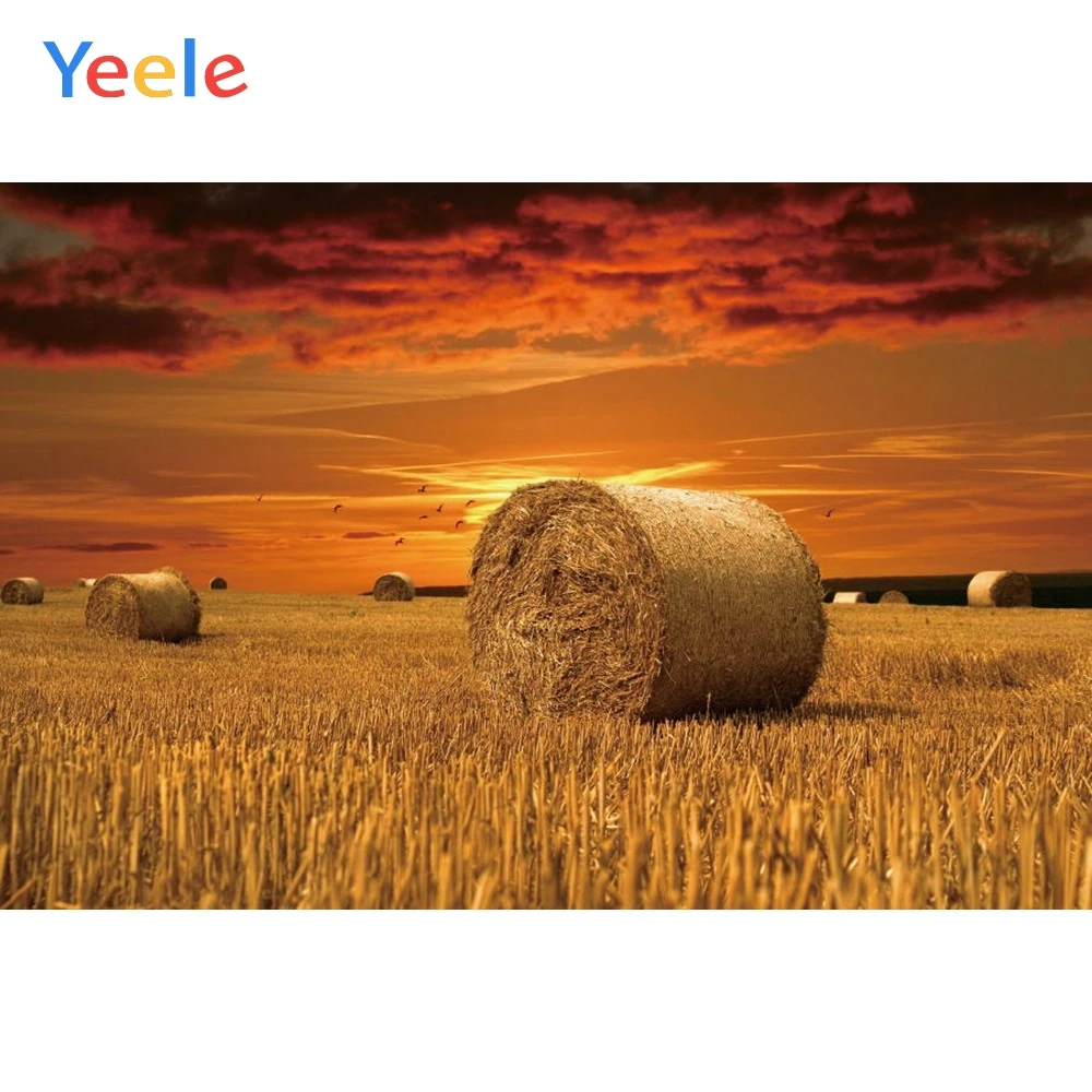 Виниловый фон для фотосъемки Yeele с изображением осенних полей пшеницы стога сена
