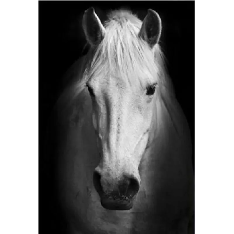 Us 839 30 Di Scontoimmagine Di Strass Pittura Diamante Diy Testa Di Cavallo Disegno Trapano Piazza 5d Diamante Ricamo A Punto Croce Decorazione A