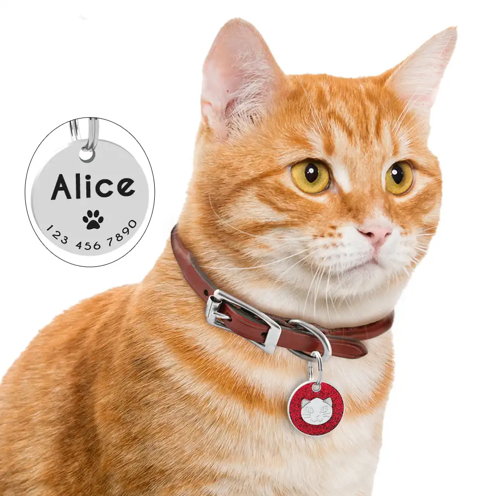 Etiquette D Identification Personnalisee Pour Chat Plaque De Nom Personnalisee Avec Empreinte De Patte Accessoires Pour Chien Chat Chaton Rose Rouge Bleu Aliexpress