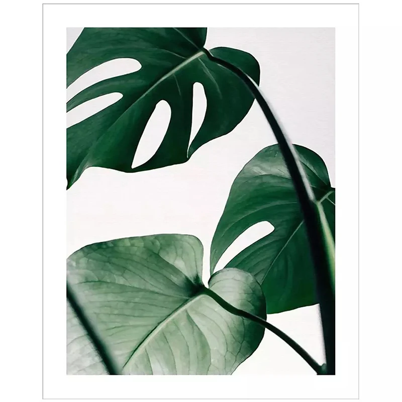 Green Turtle Leaves For Living Room Canvas Painting Nordic Poster Picture Posters Prints Wall Art Pictures Home Decor Unframed