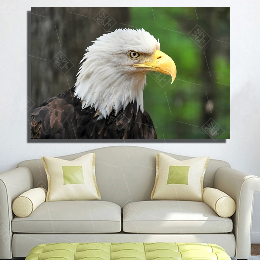 Modern Animals Canvas Art Painting Flying Eagle Birds Posters and Prints Wall Artwork Picture for Bedroom Decoration No Framed | Дом и сад