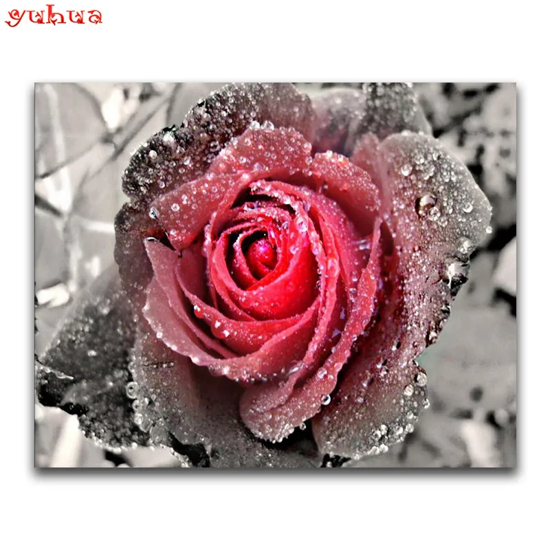 DIY 3D Diamond painting flower Full Round mosaic peony Square embroidery Cross stitch Black red | Дом и сад