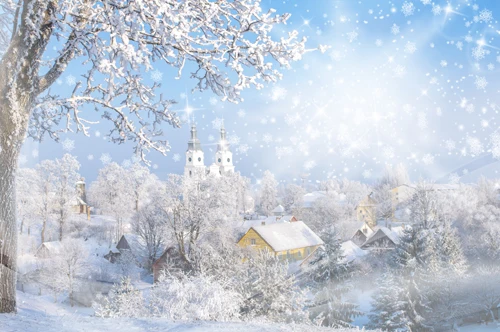 HUAYI  winter Christmas Photography Backdrop Scenery Custom Photo Portrait Studios  Background  snow day backdrop XT4872