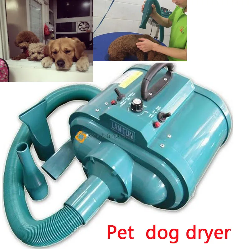 220V Dog Hair Drying Machine Dog Blower Innovative High Power Pet Dog