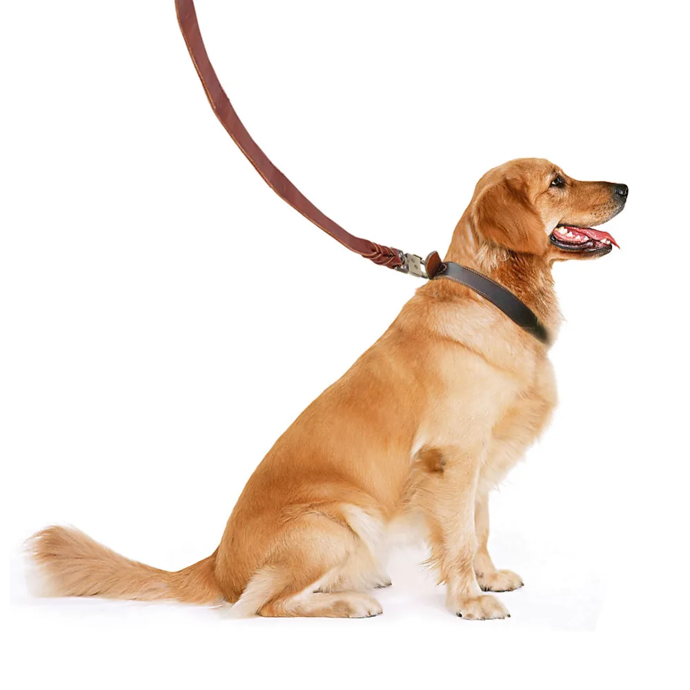 

Soft Leather Dog Collar & Leash in Braided 2.5cm Width Pet Chain 90cm/120cm/150cm Length Dog Collars For Big Dogs