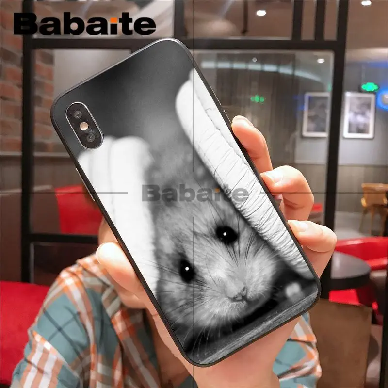 cartoon lovely Animal Hamster 