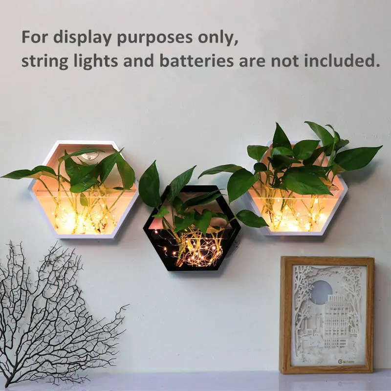 hexagon wall hanging glass vase,wall glass fish tank,wall decor,home decorhouse ornamentgreen gifts for her (9)