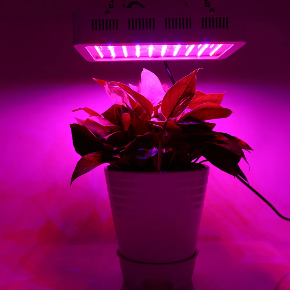 

1000W Full Spectrum LED Plant Grow Light Veg Lamp Indoor Greenhouse Garden Growth Light