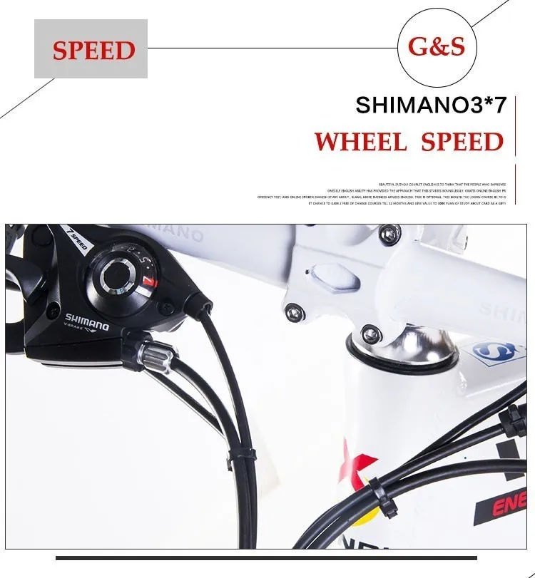 Best LOVELION Inch Mountain Bike Frame 48V Electric Lithium Battery Strong Hiding Power 500W - 350W Mute Ebike 21 Hybrid Engine Speed 24