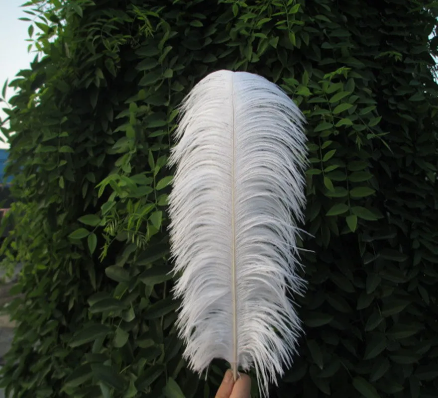 Дешево! Красивые белые страусиные перья 100 шт 14-16 дюймов/35-40 см