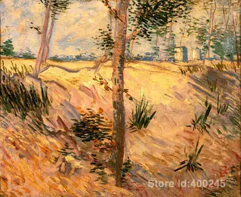 

modern art oil paintings Trees in a Field on a Sunny Day Vincent Van Gogh Reproduction canvas Hand painted High quality