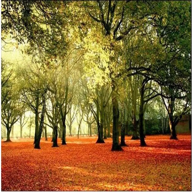 Unduh 88 Background Pemandangan Besar Gratis