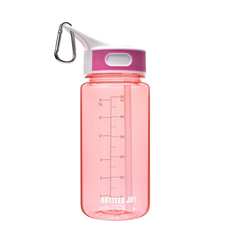 Bottled Joy Sports Water Bottle With Straw And Handle Bpafree 450ml
