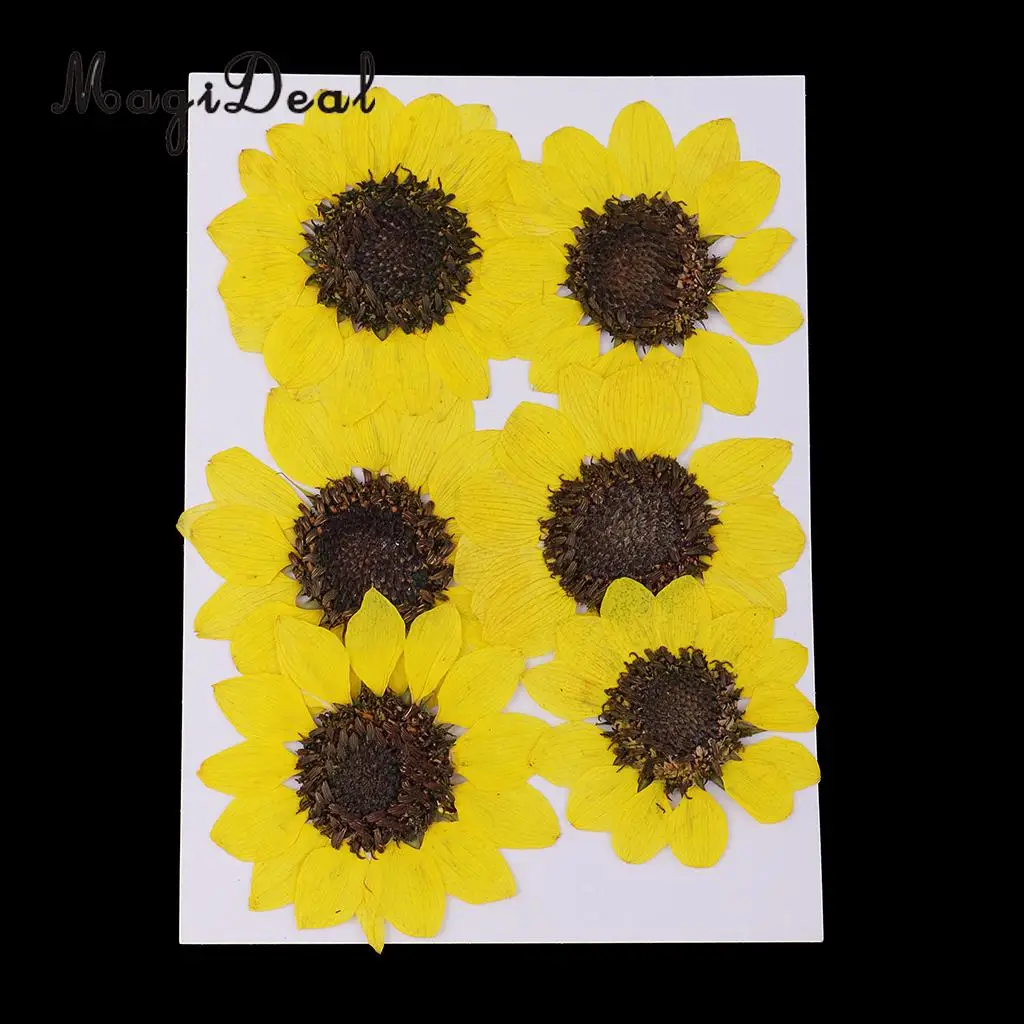 6 Pieces Pressed Natural Real Dried Flowers Sunflower for DIY Resin Ornament Craft Christmas Xmas Card Making Decoration