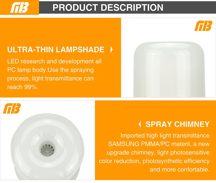 LED Flame Bulb_07