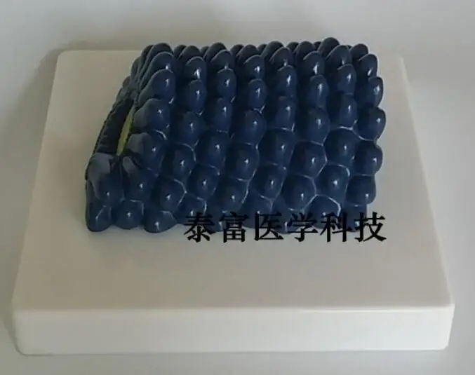 QQ20181213133309