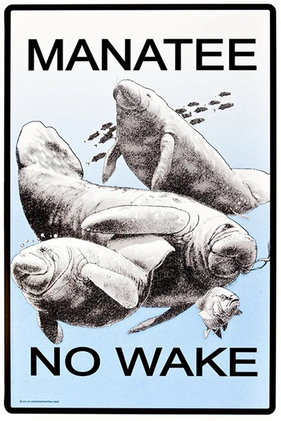 Beware of The Rabbit Plaque Vintage Metal Tin Signs Home Bar Pub Office Decorative Plate Rat Wall Sticker Garden Art Poster MN11 I