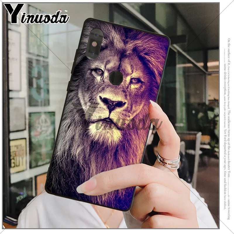 Animals The lion