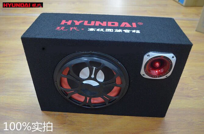 

12v 220v 8inch car speaker box, Active Subwoofer Hifi KTV speakers Hi End stage PA car speakers with remote control