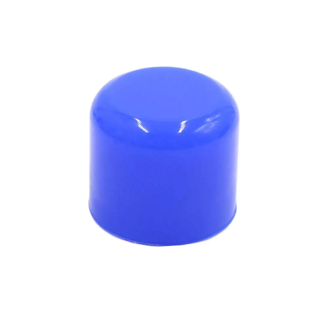 

Uxcell 32mm 1.25" Silicone Blanking Cap Intake Vacuum Hose Tube End Bung Blue