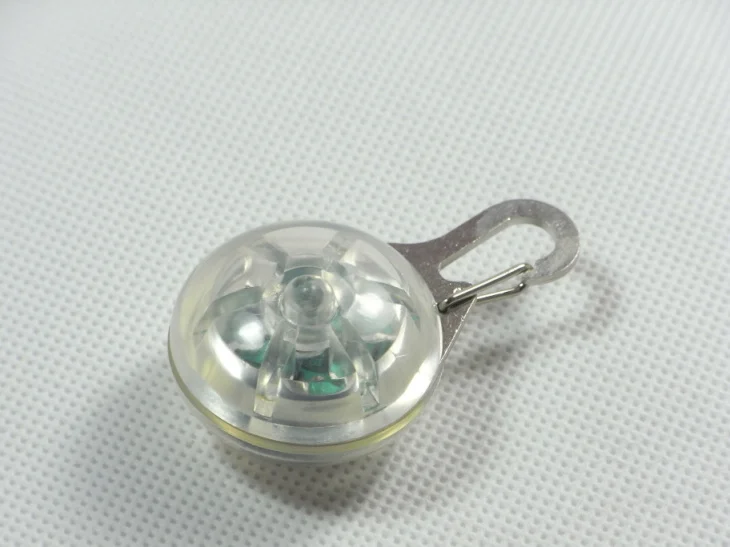 LED    (31)