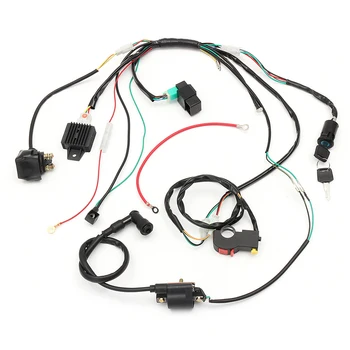 

Complete Electric Start Engine Wiring Harness Loom Quad Motorcycle