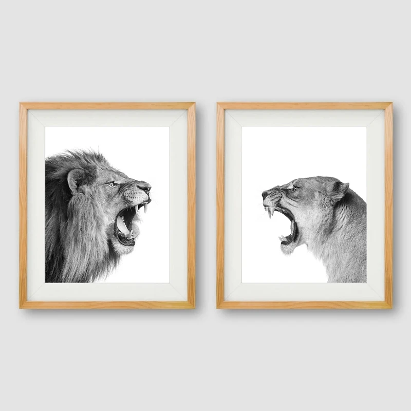 Lion Roar Wall Art Print